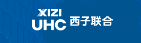 上海西子国际